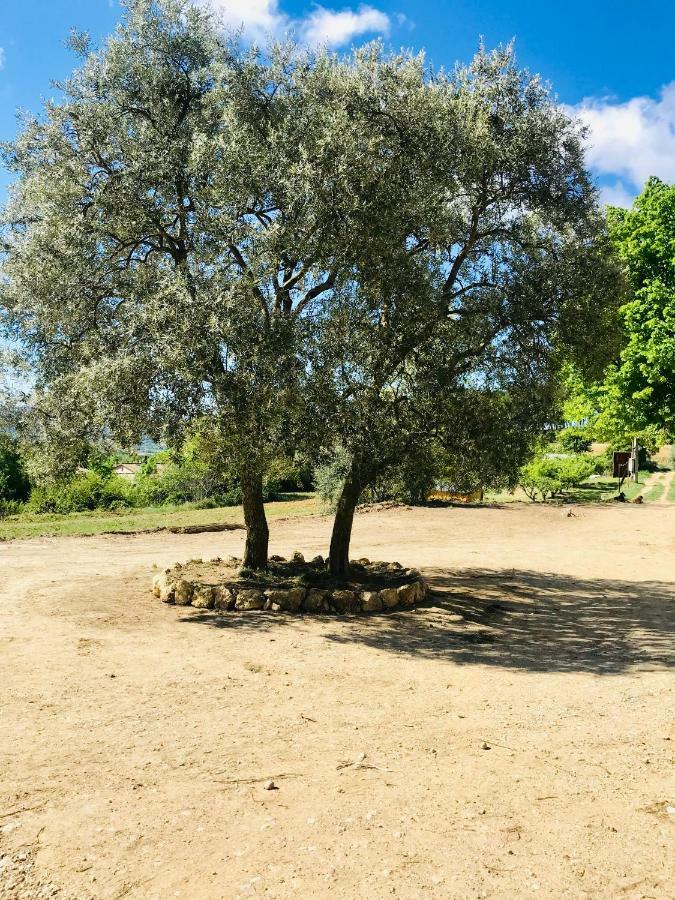 Bastide Bellugue Maison D'Hotes Reseau Bienvenue A La Ferme A 3 Minutes De Lourmarin Cadenet Exterior foto